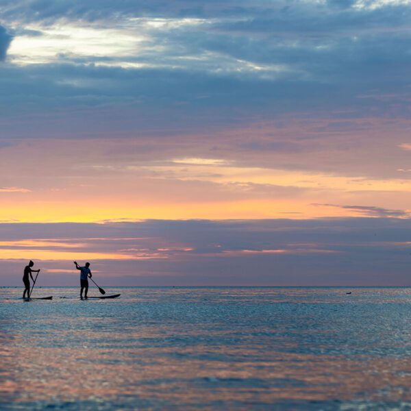 silhouette people paddleboarding during sunset